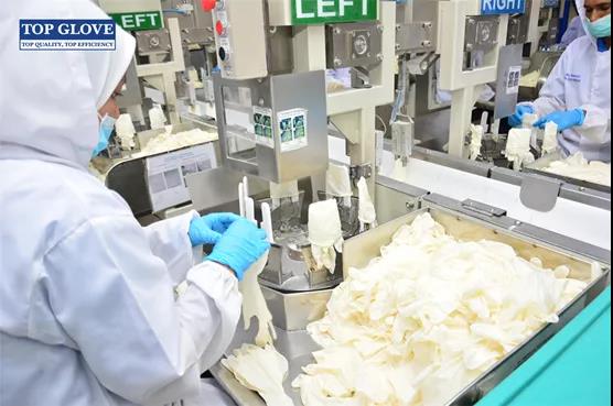 馬來西亞頂級手套獲準恢復對美出口 馬來西亞頂級手套獲準恢復對美出口