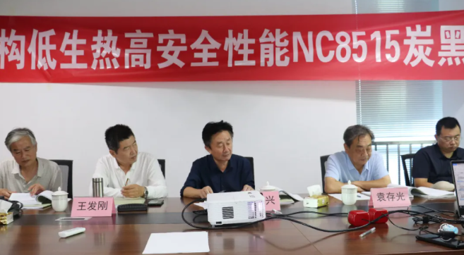 NC8515炭黑獲評國際先進(jìn)