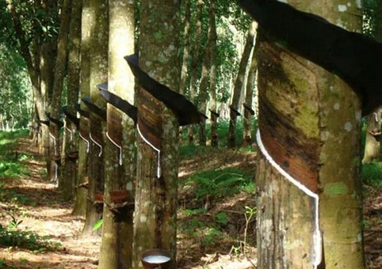 輪胎廠家、經(jīng)銷商的壓力傳導(dǎo)