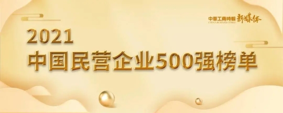 2021中國(guó)民營(yíng)企業(yè)500強(qiáng) 2021中國(guó)民營(yíng)企業(yè)500強(qiáng)
