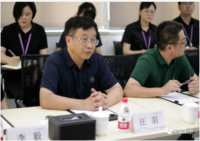 汪羽表示，安徽黑貓公司與民營企業(yè)的合作是成功的，具有可復(fù)制意義