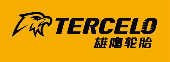 4個(gè)月，輪胎公司賺了近百萬！