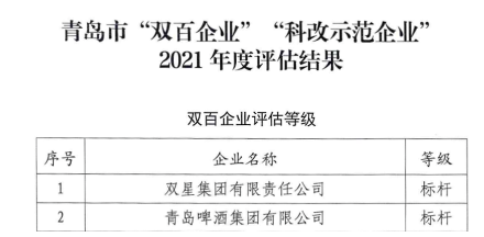 10.雙星集團(tuán)，全國國企改革“雙百企業(yè)”標(biāo)桿!
