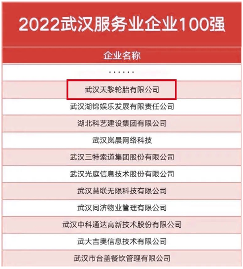 武漢天黎，連續(xù)五年入選政府榜單！