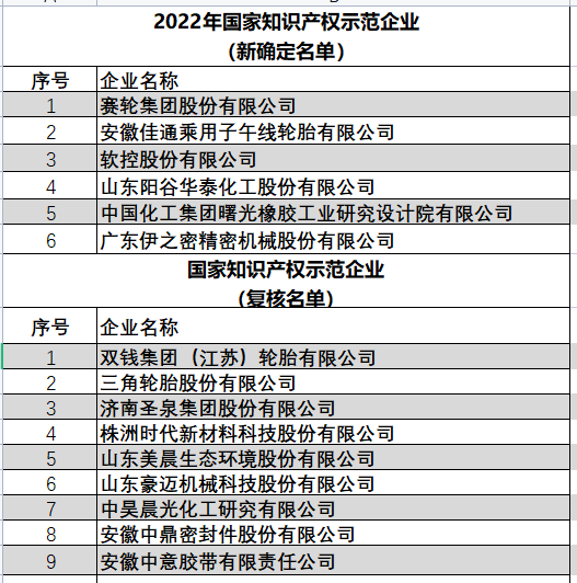 2022年國家知識產(chǎn)權(quán)優(yōu)勢企業(yè)（新確定名單）以及國家知識產(chǎn)權(quán)示范企業(yè)（復核名單）