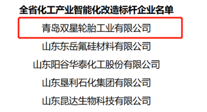 數(shù)智化創(chuàng)新發(fā)展，雙星輪胎獲評山東省化工產(chǎn)業(yè)智能化改造“標(biāo)桿企業(yè)”