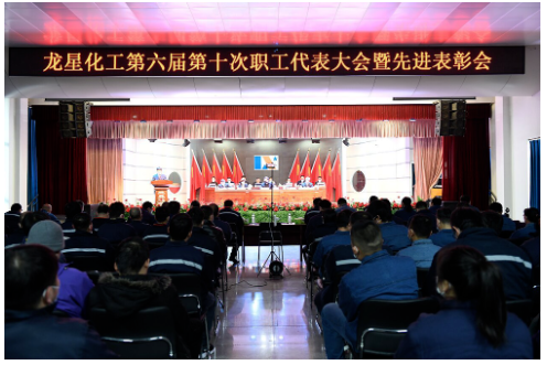 龍星化工六屆十次職代會暨2022年先進表彰會圓滿落幕