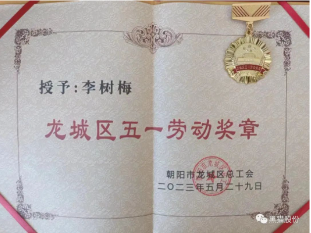 李樹梅同志在她的工作崗位上展現(xiàn)出了杰出的能力和卓越的業(yè)績(jī)。作為公司中層干部，她始終將公司利益置于首位，并不斷提升自己的專業(yè)水平。她通過努力學(xué)習(xí)，先后取得了管理學(xué)和工學(xué)學(xué)士學(xué)位，并獲得了經(jīng)濟(jì)師、機(jī)電工程師、電子工程師和化工助理工程師等多個(gè)職業(yè)資格證書。在她的帶領(lǐng)下，市級(jí)職工職業(yè)技能培訓(xùn)基地得以成立，為公司培養(yǎng)了更多的技術(shù)人才。