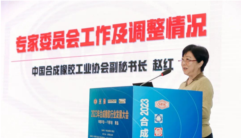 中國合成橡膠工業(yè)協(xié)會秘書長趙紅詳細(xì)介紹了專家委員會的工作情況和新一屆專家委員會的組成。會長梁愛民為專家委員會主任委員張立群院士頒發(fā)了聘書，標(biāo)志著專家委員會的正式成立。